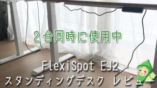 スタンディングデスクを2台使い「FlexiSpot EJ2」レビュー