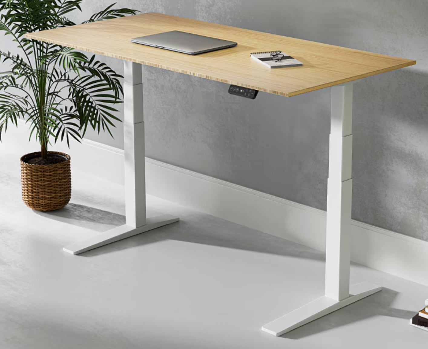FlexiSpot E7H